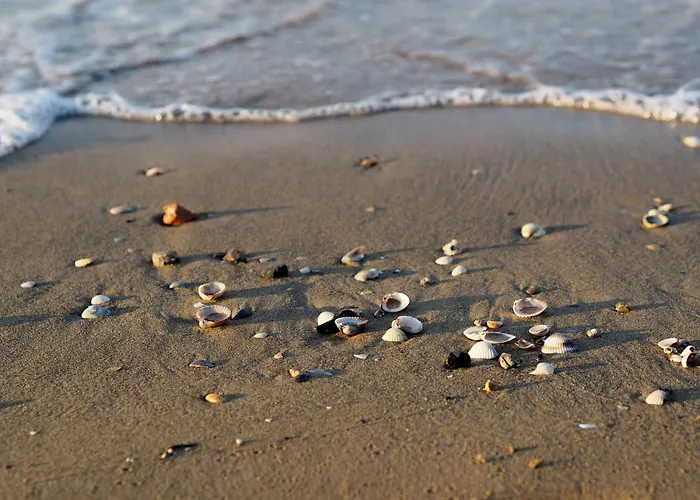Poolside Comfort In A Prestigious Location * ביביונה